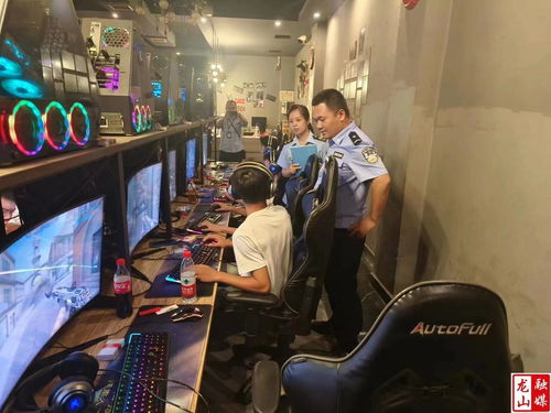 龙山县人民政府联合公安等多部门开展网吧集中清查专项行动，筑牢网络安全防线